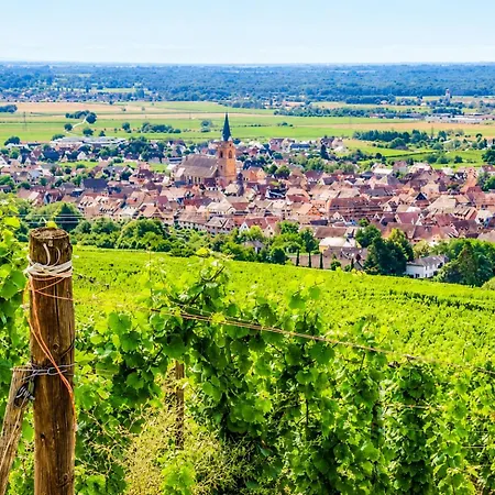 Le Secret Des Vignerons - Route Des Vins - Parking * Bergheim